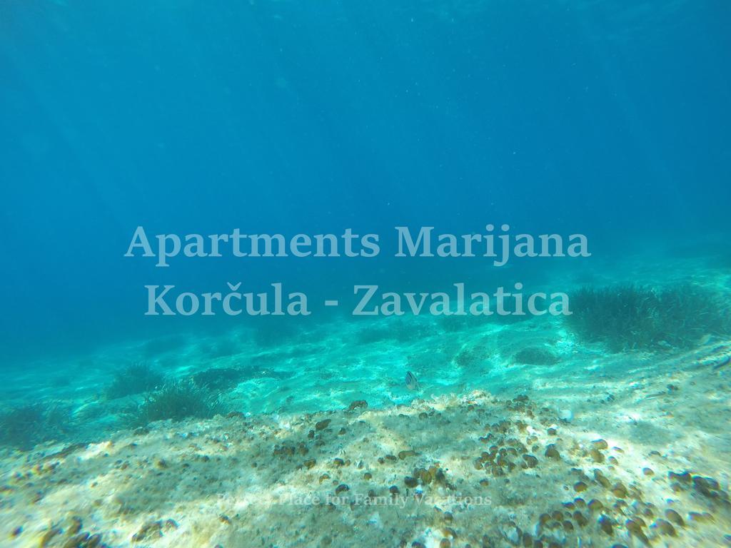 Apartments Marijana Zavalatica Bagian luar foto
